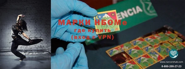 прущие грибы Балабаново