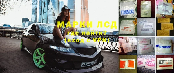 прущие грибы Балабаново