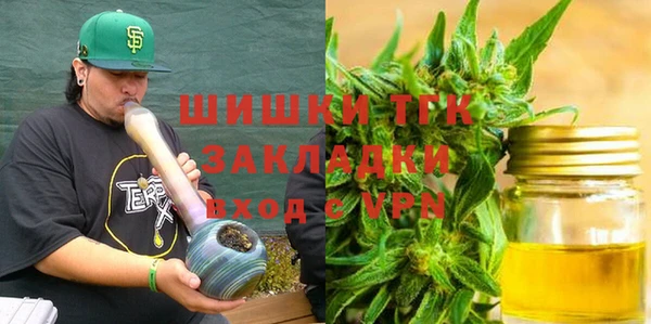 прущие грибы Балабаново