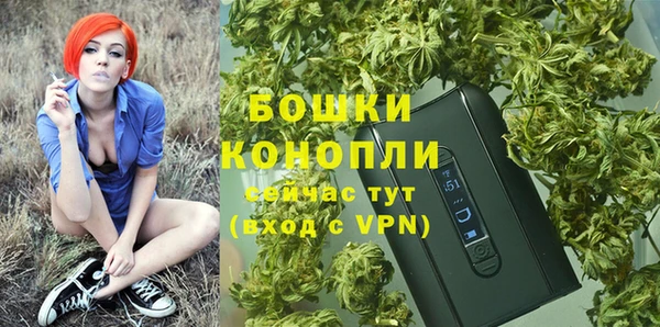 прущие грибы Балабаново