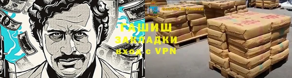прущие грибы Балабаново