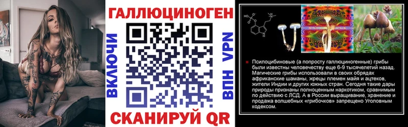 hydra ONION  купить наркотики цена  Новотроицк  Галлюциногенные грибы прущие грибы 